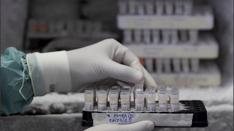 Avanzan las investigaciones pero aún no hay una solución concreta.