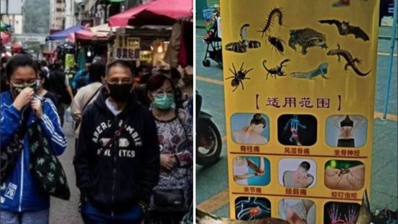 China cerró temporalmente sus fronteras pero siguen con la venta callejera de animales.