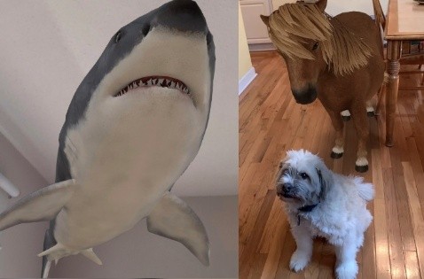 Google: ¿Cómo ver un tiburón o tigre en 3D con realidad aumentada