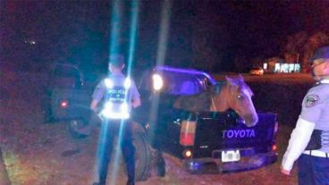 El hombre quedó detenido y el equino fue entregado a un familiar.