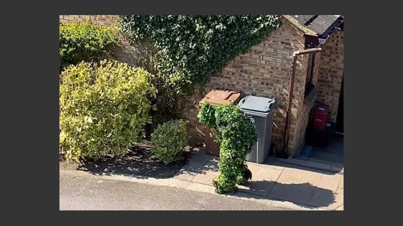 El video se viralizó y generó tanto enojos como risas.