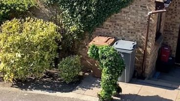 El video se viralizó y generó tanto enojos como risas.