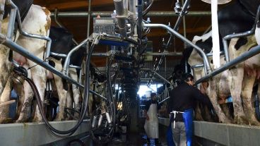 El tambo que funciona el la facultad de Zavalla.