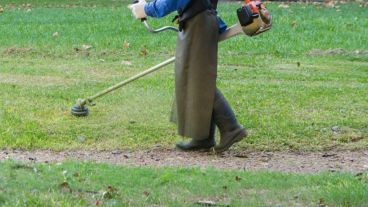 La concejala pide que se faciliten permisos para tareas de desmalezamiento.