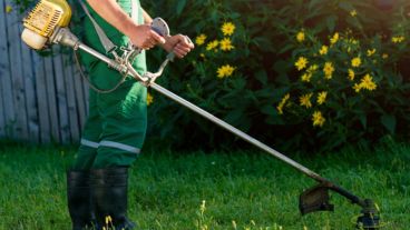 Ahora los jardineros podrán trabajar.