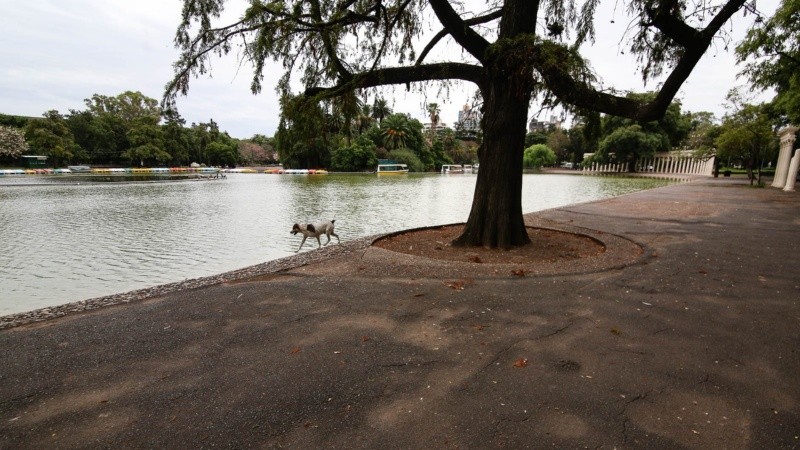 Así luce el Parque Independencia durante la cuarentena obligatoria.
