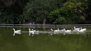 Así luce el Parque Independencia durante la cuarentena obligatoria.