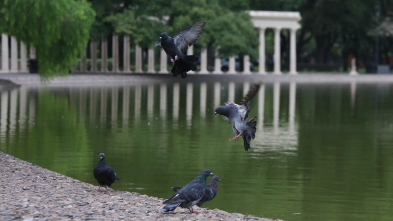 Así luce el Parque Independencia durante la cuarentena obligatoria.