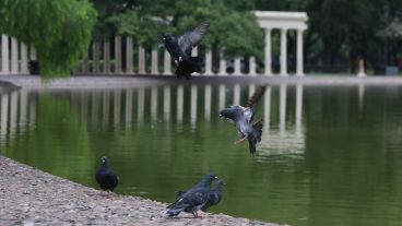 Así luce el Parque Independencia durante la cuarentena obligatoria.