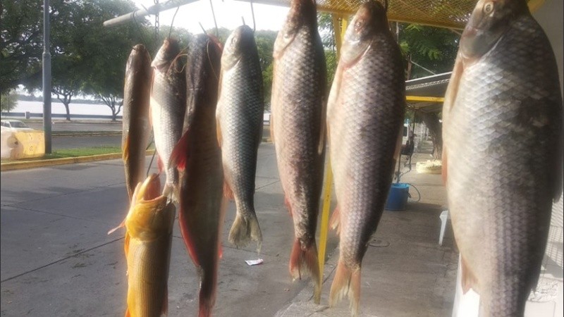 Los pescadores esperan clientes en La Florida.
