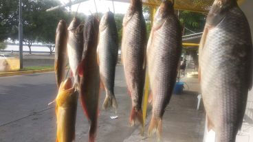 Los pescadores esperan clientes en La Florida.