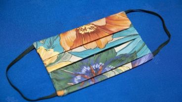 Babrijos caseros, muy fáciles de hacer.