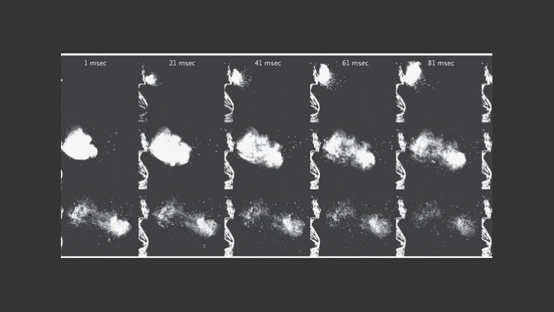 La cepa puede viajar más allá de ese metraje establecido entre personas.