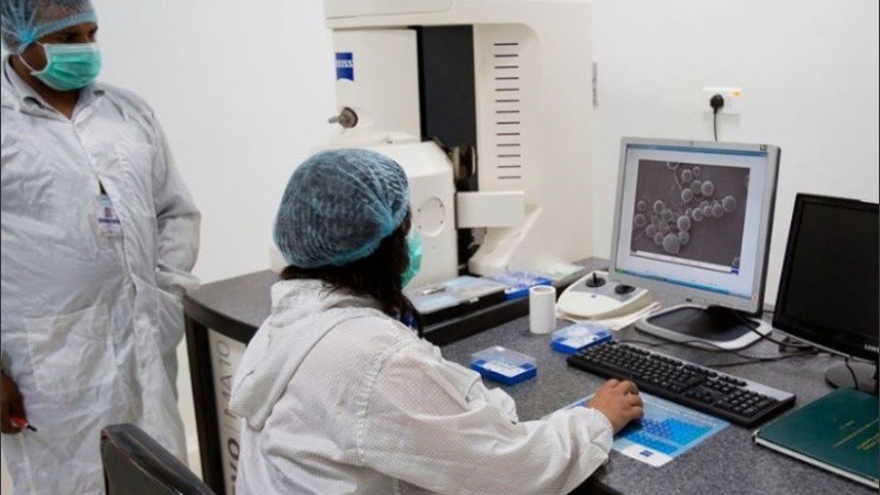 La creación es considerada como una herramienta “innovadora y dinámica”.