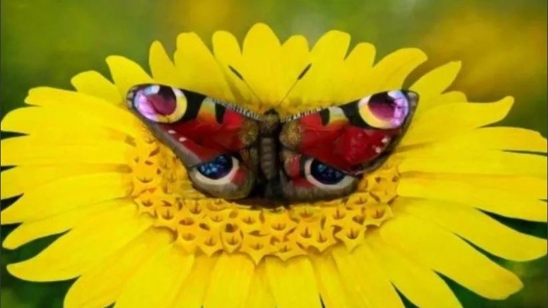 El artista pasó horas para lograr el efecto.