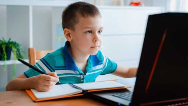 Estas aulas podrán ser administradas por los propios docentes.