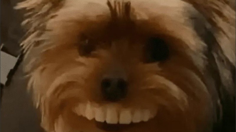 En cuestión de minutos, el video se volvió viral.