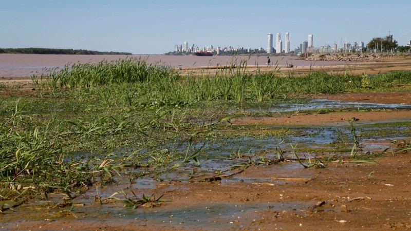 La bajante del río repercutirá en el complejo agroexportador, según la Bolsa de Comercio de Rosario.