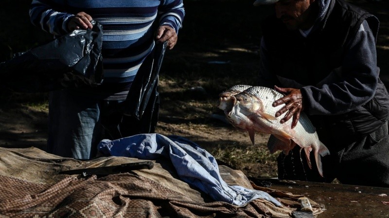 Los pescadores se quejan que el kilo de pescado se está pagando mucho menos y aseguran que las ventas cayeron en época de cuarentena.