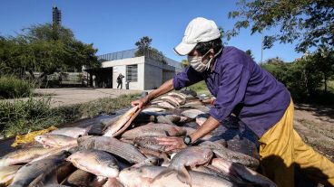 Con barbijos y tomando cierta distancia. Los pescadores también se cuidan.