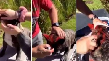 El joven tuvo que cerrar su perfil de Instagram y borró los videos.