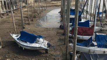 Las fotos de la costa rosarina de un Paraná en retroceso.