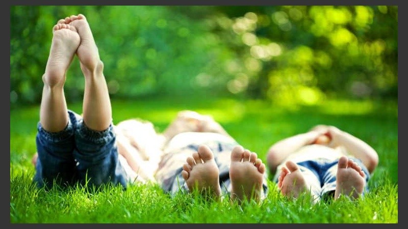 Pudieron calcular el tiempo necesario para adquirir las dosis recomendadas de vitamina D sin riesgo de producir quemaduras o eritemas en la piel.