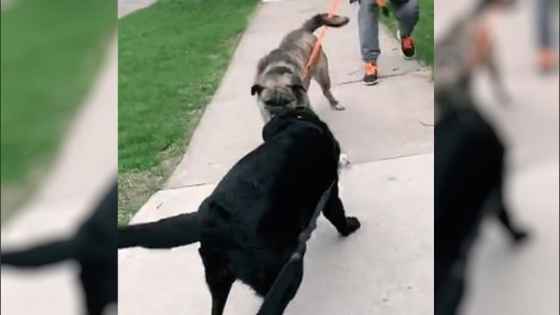 El reencuentro de Samantha y Baldour.