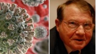 Montagnier citó el estudio de un grupo de investigadores del Instituto Indio de Tecnología.