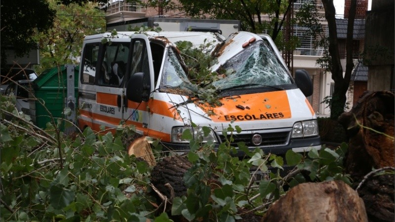 Así quedó el vehículo tras la caída del enorme árbol. 