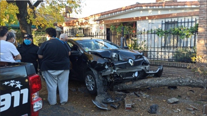 Tras perder el control, el delincuente chocó contra un árbol al que derribó.