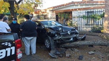 Tras perder el control, el delincuente chocó contra un árbol al que derribó.