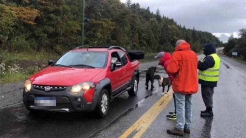 Parte del operativo de tránsito que permitió el regreso de los argentinos varados en el exterior. 