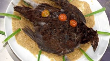 La cocinera dijo que sintió asco.