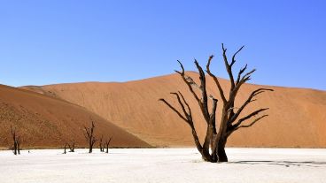 Advierten que  el aumento de la temperatura es inevitable.