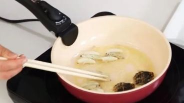 En Tokio, el avispón gigante está en el menú de más de 30 restaurantes.