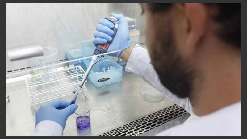 Todos los analizados mostraron niveles más altos de inmunoglobulina.