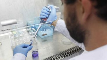 Todos los analizados mostraron niveles más altos de inmunoglobulina.