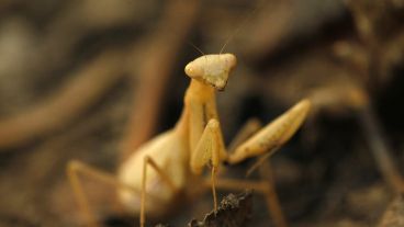 El material tiene más de 7 millones de visitas.