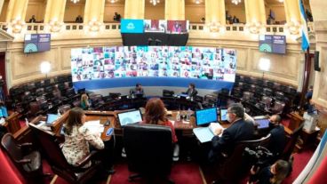 La histórica sesión virtual del Senado de la Nación comenzó minutos después de las 14.