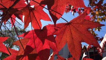 Pese a esto, el especialista aclaró que aún quedan días con temperaturas que pueden superar los 30º