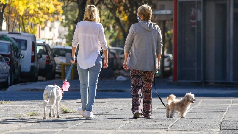 Sacar el perro suele confundirse con un paseo prolongado por las calles.