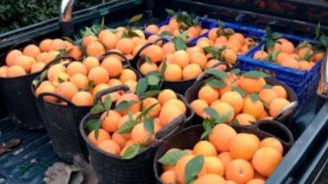 El precio se incrementó en todos los países durante el mes de abril.