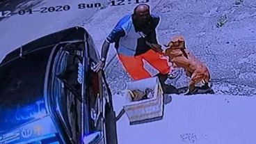 El hombre abandonó a los animales al costado de la ruta.