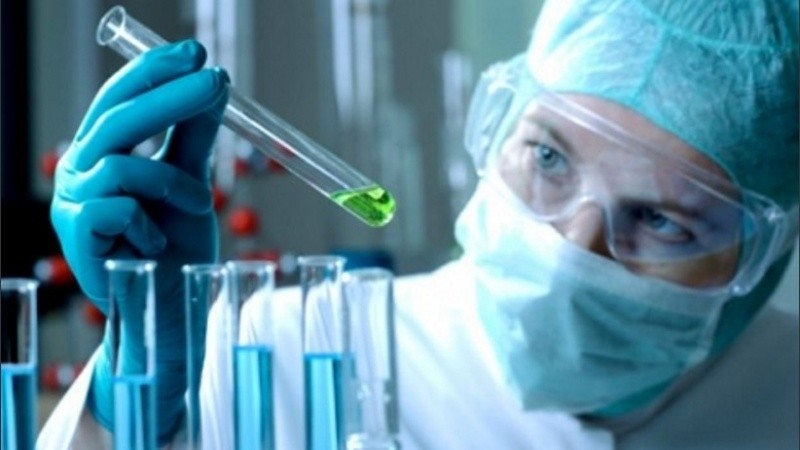 Afirman que el tratamiento ya está probado en ratones y funciona.