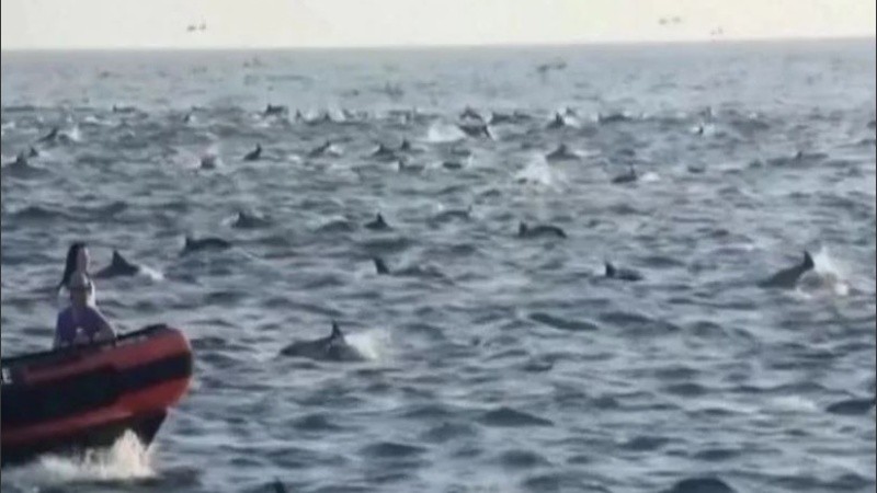 El registro de los testigos no tardó en dar la vuelta al mundo.