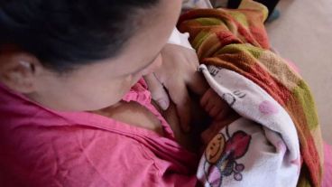 "La lactancia materna sigue siendo la forma optima de alimentación de los lactantes”, afirmó Guadalupe Mangialavori, coordinadora del área de nutrición de la Dirección de Salud Perinatal y Niñez nacional.