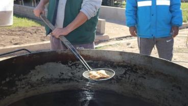 Se reparten unas 7 mil raciones de empanadas.