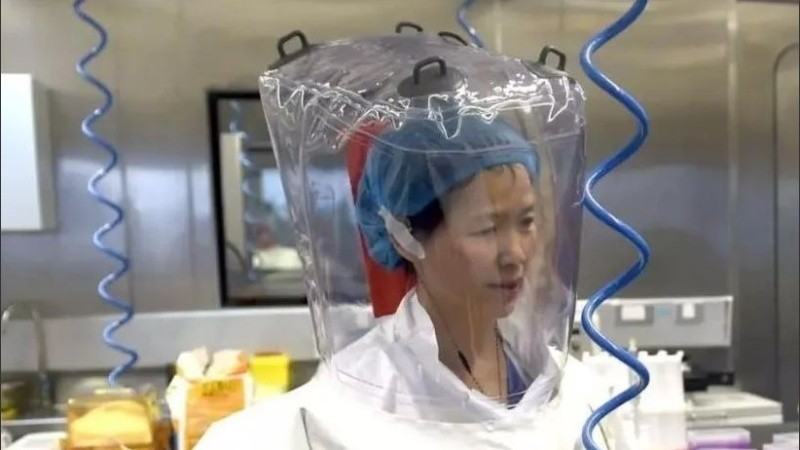  Shi juró por su vida que la pandemia no está relacionada con su laboratorio. 