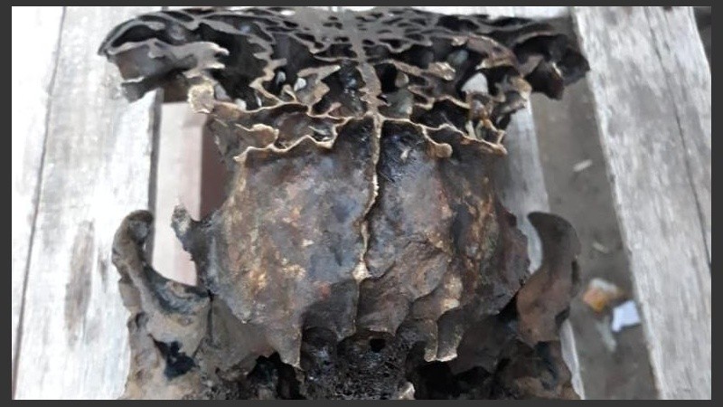 El cráneo hallado en Arroyo Seco. 